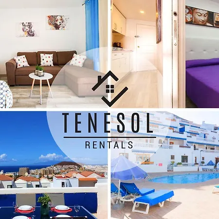 Apartment Port Royal 1 Bedroom - Tenesol